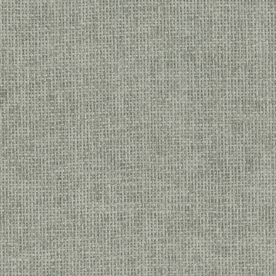product image of Paperweave Wallpaper in Grey/Silver 527
