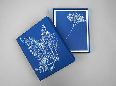 product image for sunprint notecards 9781616895914 6 8