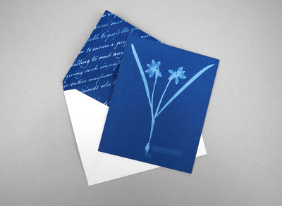 product image for sunprint notecards 9781616895914 3 90