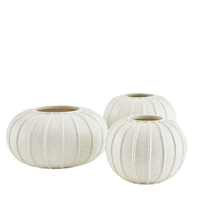 product image for Pompano Vases - Set of 3 6 63