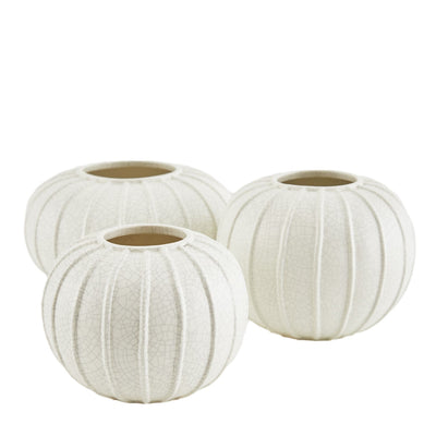 product image for Pompano Vases - Set of 3 1 83