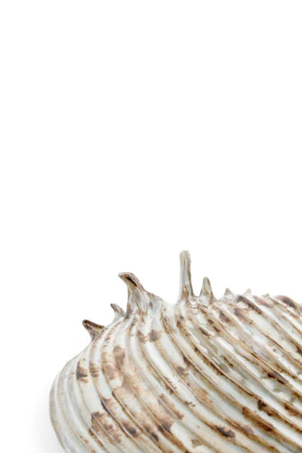 product image for yarnnakarn oceanology channeled clam shell dish 2 2
