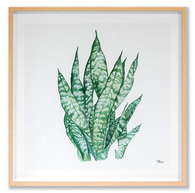 product image of Tropical Botanicals 3 By Grand Image Home 99299_P_23X23_M 1 555