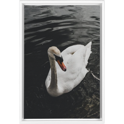product image for swan framed canvas 12 44