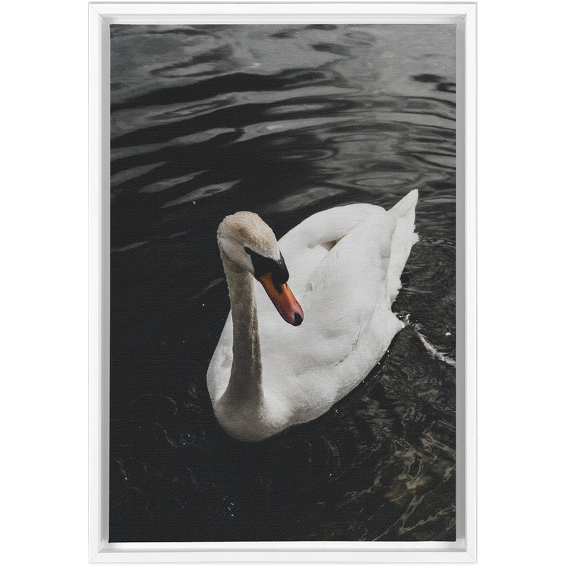 media image for swan framed canvas 12 296