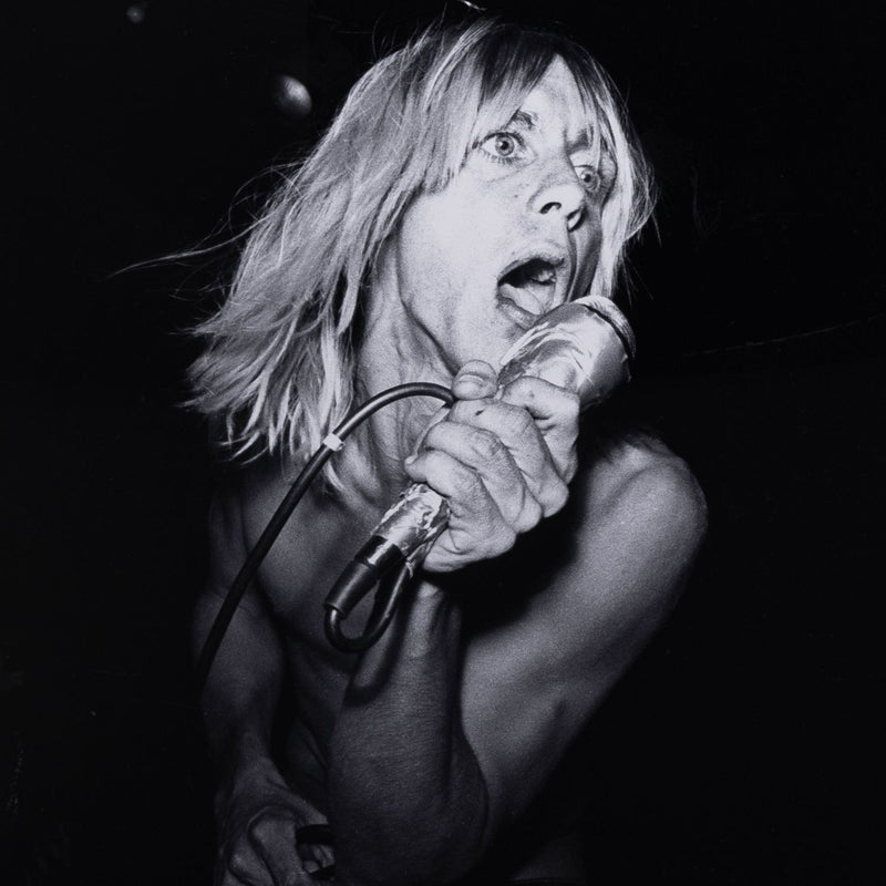 media image for Iggy Pop Performing At The Whisky, Getty Alternate Image 3 246