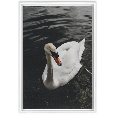 product image for swan framed canvas 9 21