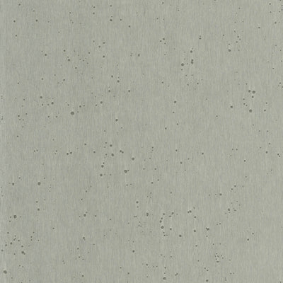 product image for Burnished Patina Silver Wallpaper from the Arts and Crafts Collection by Ronald Redding 56