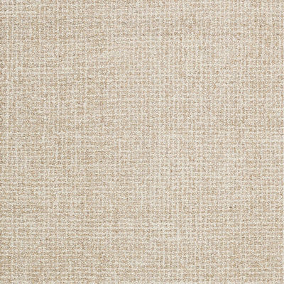 product image for Aiden AEN-1000 Hand Tufted Rug in Khaki & Cream by Surya 3