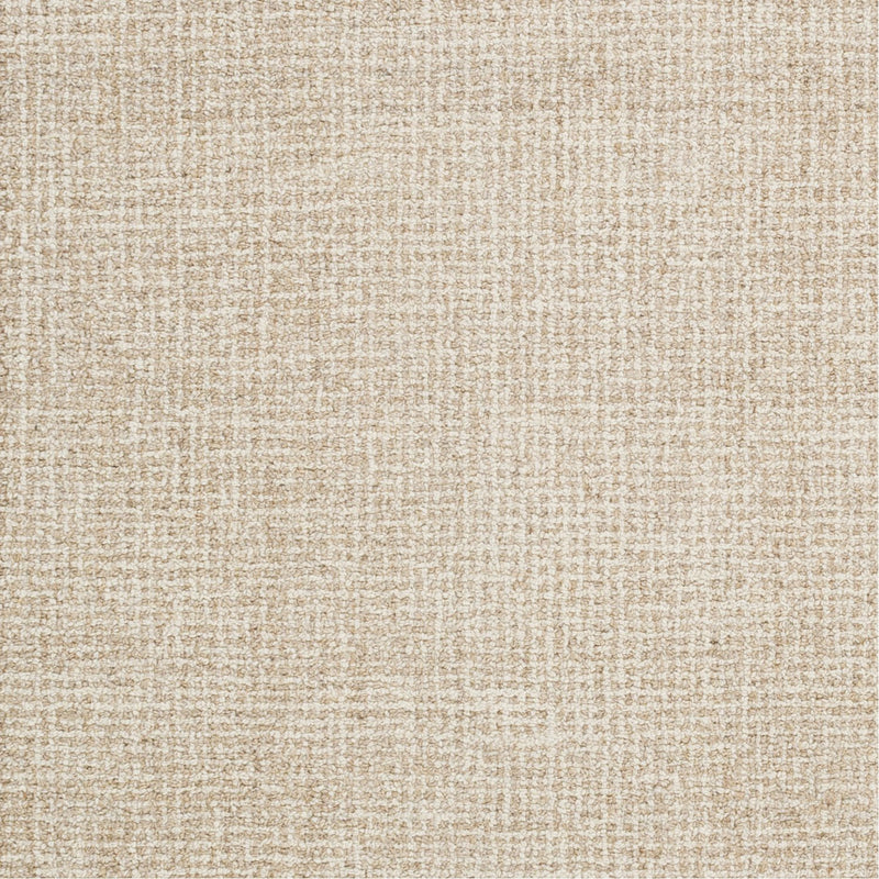 media image for Aiden AEN-1000 Hand Tufted Rug in Khaki & Cream by Surya 282