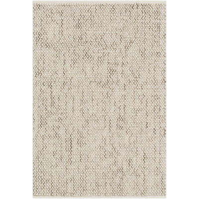 product image for Avera AER-1002 Hand Woven Rug in Taupe & Cream by Surya 48