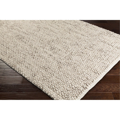 product image for Avera AER-1002 Hand Woven Rug in Taupe & Cream by Surya 9