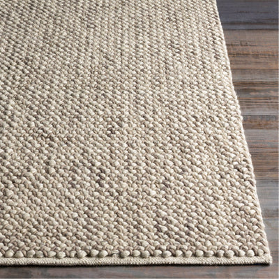 product image for Avera AER-1002 Hand Woven Rug in Taupe & Cream by Surya 40