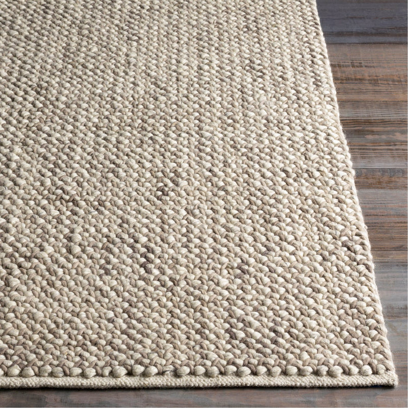 media image for Avera AER-1002 Hand Woven Rug in Taupe & Cream by Surya 221