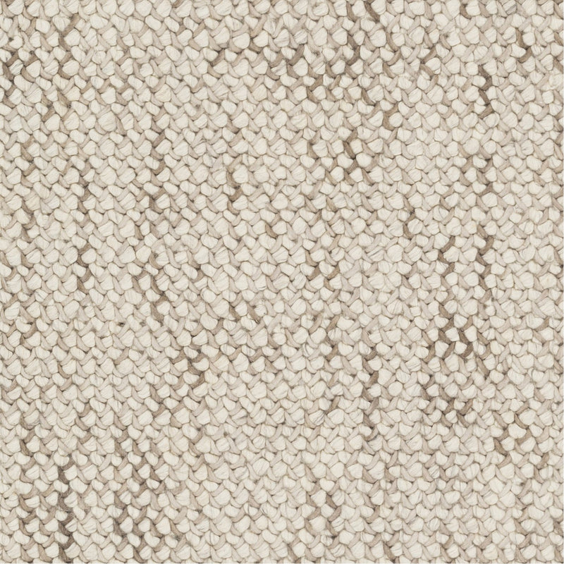 media image for Avera AER-1002 Hand Woven Rug in Taupe & Cream by Surya 244
