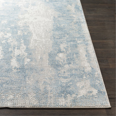 product image for Aisha AIS-2301 Rug in Sky Blue & Gray by Surya 87