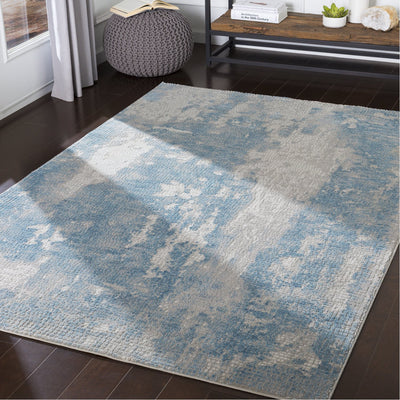 product image for Aisha AIS-2301 Rug in Sky Blue & Gray by Surya 10