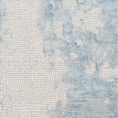 product image for Aisha AIS-2301 Rug in Sky Blue & Gray by Surya 10