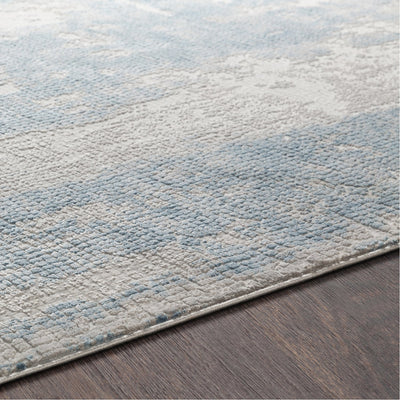 product image for Aisha AIS-2301 Rug in Sky Blue & Gray by Surya 1