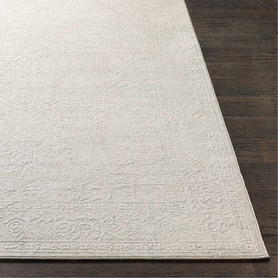 product image for Aisha AIS-2309 Rug in Medium Gray & White by Surya 26