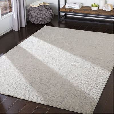 product image for Aisha AIS-2309 Rug in Medium Gray & White by Surya 81