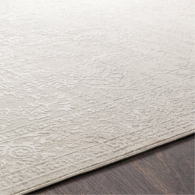 product image for Aisha AIS-2309 Rug in Medium Gray & White by Surya 90