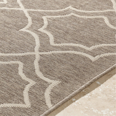 product image for Alfresco ALF-9587 Rug in Camel & Cream by Surya 5