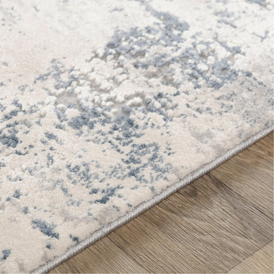 product image for Alpine ALP-2311 Rug in Denim & White by Surya 6