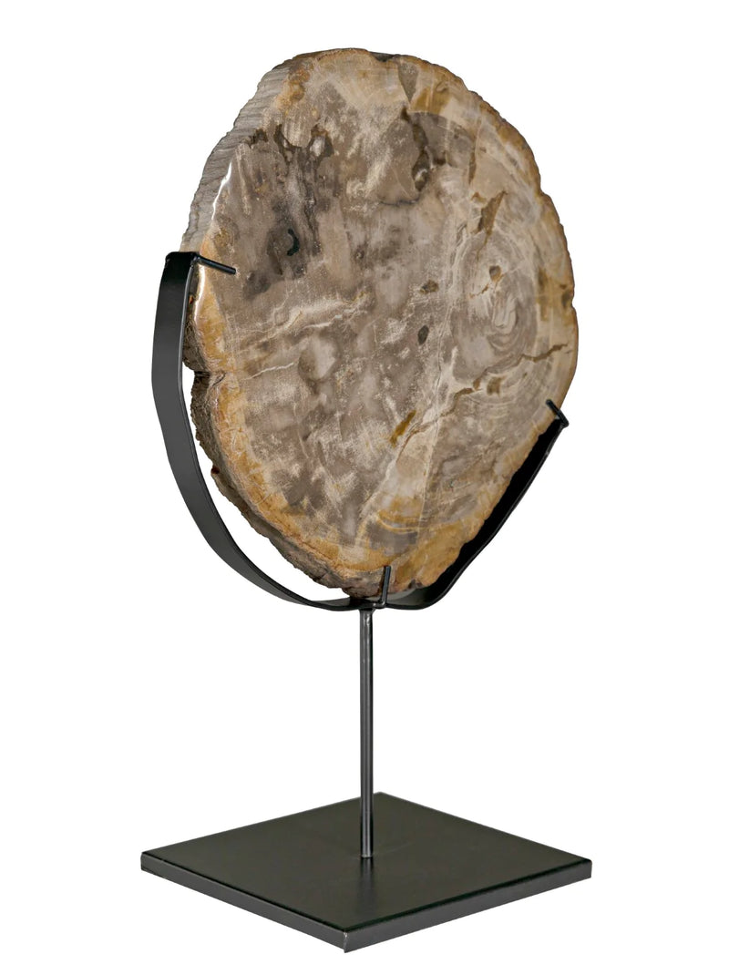 media image for wood fossil with stand design by noir 1 219
