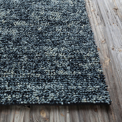 product image for ambiance collection hand woven area rug design by chandra rugs 4 81