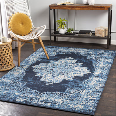 product image for Amsterdam AMS-1024 Hand Woven Rug in Navy & Beige by Surya 5