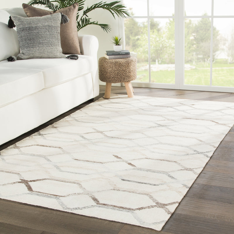 media image for laveer trellis rug in birch frost gray design by jaipur 5 269