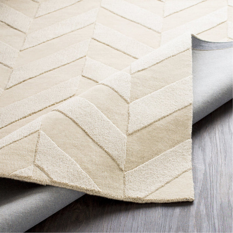 media image for Central Park AWHP-4028 Hand Loomed Rug in Khaki by Surya 270