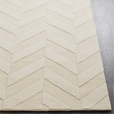 product image for Central Park AWHP-4028 Hand Loomed Rug in Khaki by Surya 38