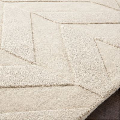 product image for Central Park AWHP-4028 Hand Loomed Rug in Khaki by Surya 13