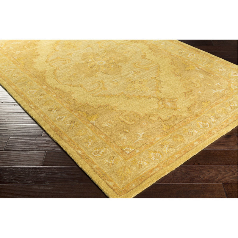 media image for Middleton AWHR-2059 Hand Tufted Rug in Mustard & Tan by Surya 252