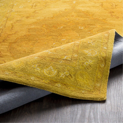 product image for Middleton AWHR-2059 Hand Tufted Rug in Mustard & Tan by Surya 18