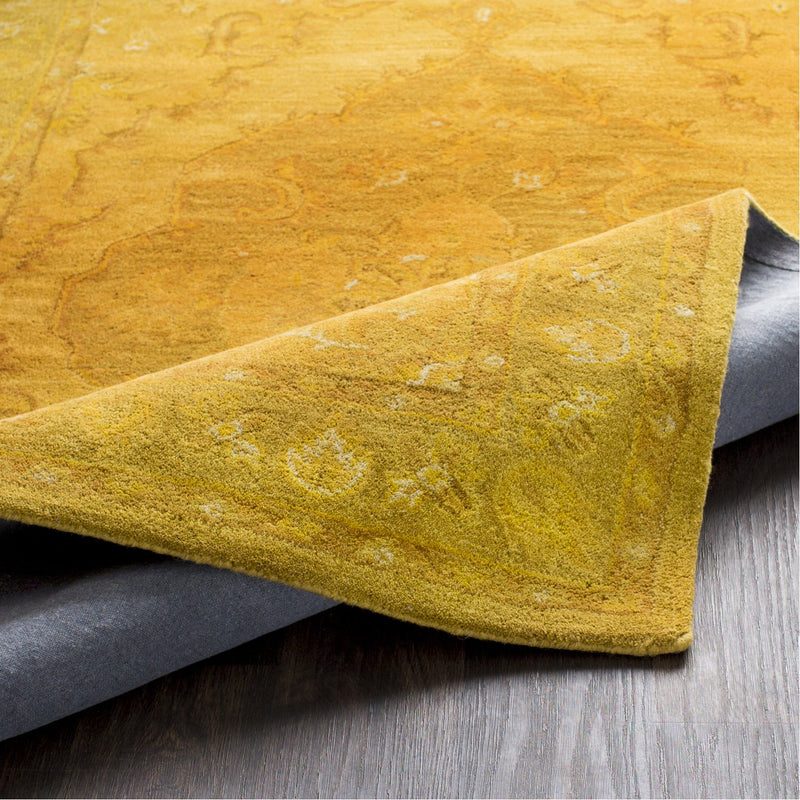 media image for Middleton AWHR-2059 Hand Tufted Rug in Mustard & Tan by Surya 239