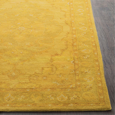 product image for Middleton AWHR-2059 Hand Tufted Rug in Mustard & Tan by Surya 80
