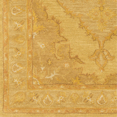 product image for Middleton AWHR-2059 Hand Tufted Rug in Mustard & Tan by Surya 36
