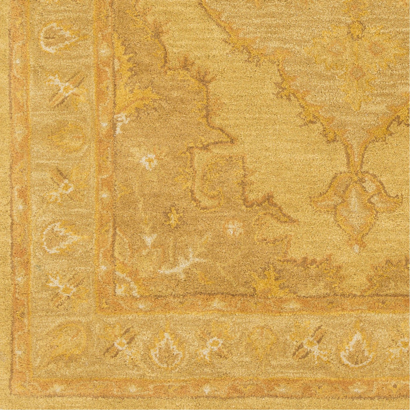 media image for Middleton AWHR-2059 Hand Tufted Rug in Mustard & Tan by Surya 274