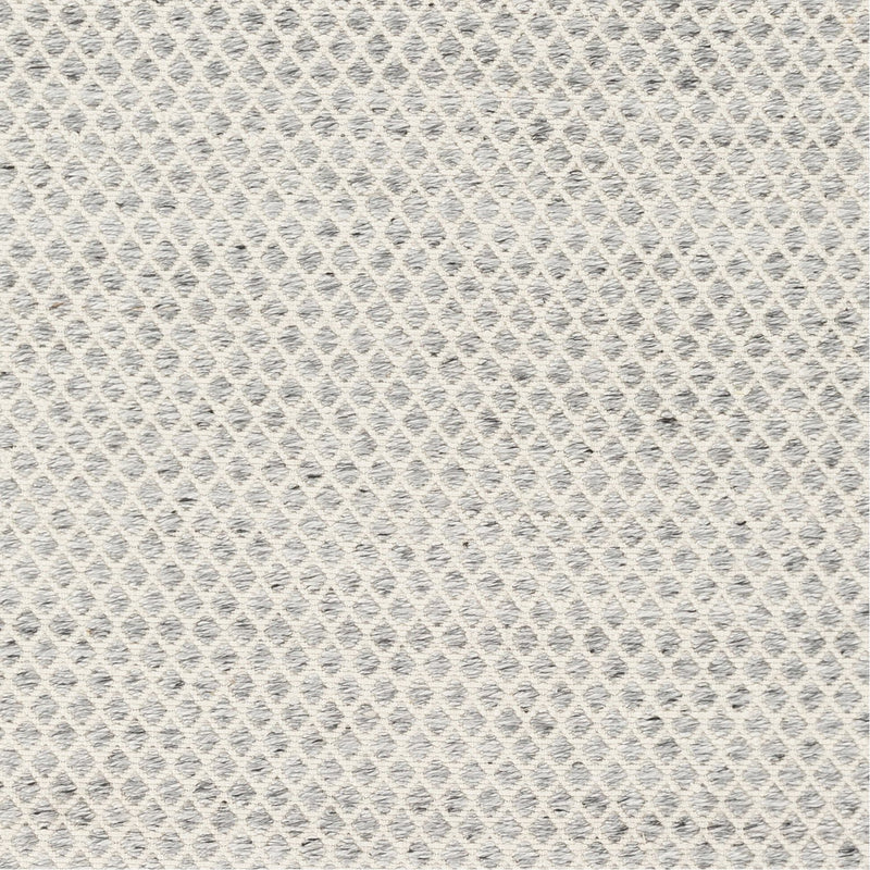 media image for Azalea AZA-2306 Hand Woven Indoor/Outdoor Rug in Medium Grey & White by Surya 227
