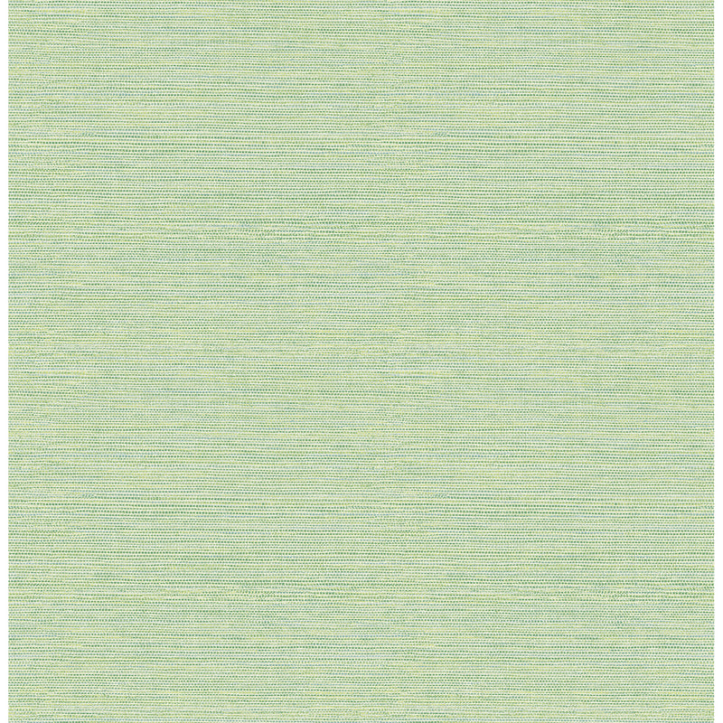 media image for Agave Imitation Grasscloth Wallpaper in Green from the Pacifica Collection by Brewster Home Fashions 218
