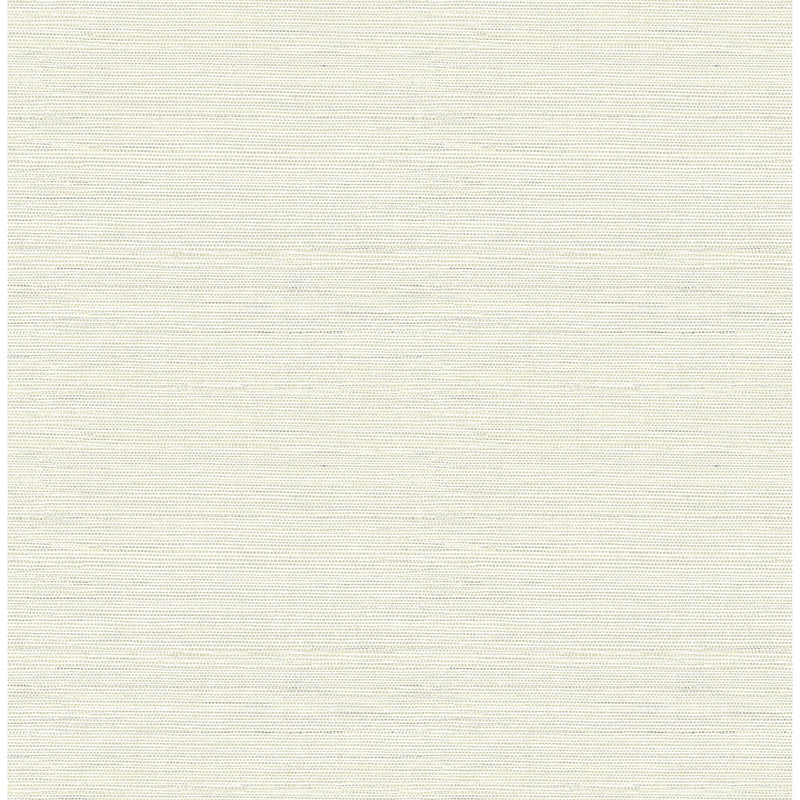 media image for Agave Imitation Grasscloth Wallpaper in Light Grey from the Pacifica Collection by Brewster Home Fashions 224