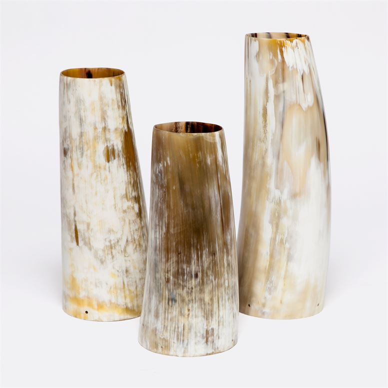 media image for Aiden Horn Vases, Set of 3 260