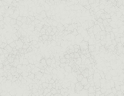 product image of Alchemy Wallpaper in Silver, Grey, and Cream from the Transition Collection by Mayflower Wallpaper 574