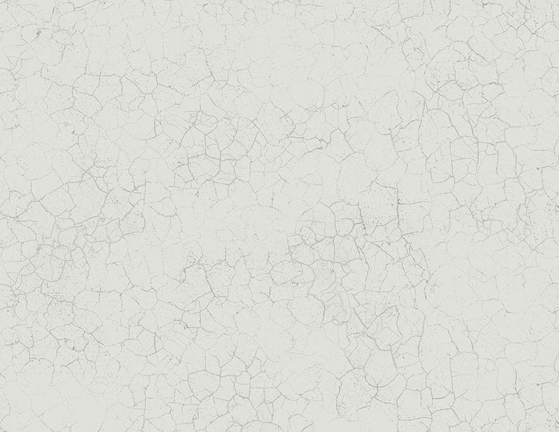 media image for Alchemy Wallpaper in Silver, Grey, and Cream from the Transition Collection by Mayflower Wallpaper 237