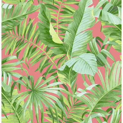 product image of Alfresco Tropical Palm Wallpaper in Coral from the Pacifica Collection by Brewster Home Fashions 528
