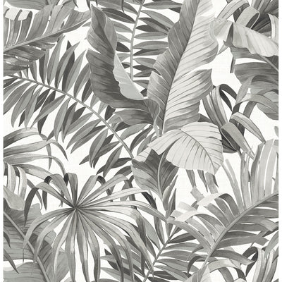 product image of sample alfresco tropical palm wallpaper in grey from the pacifica collection by brewster home fashions 1 54