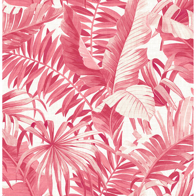 product image for Alfresco Tropical Palm Wallpaper in Pink from the Pacifica Collection by Brewster Home Fashions 59